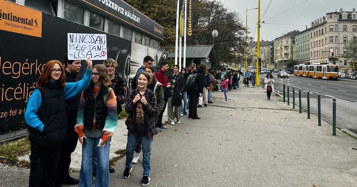 Telex Nyúlik az élőlánc az Alkotás úton is