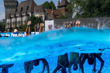 Leépítik a vizes vb-t szervező céget, de még erről sem tudhatunk meg semmit