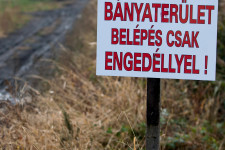 Adják-veszik a cégeket az Orbán-családon belül