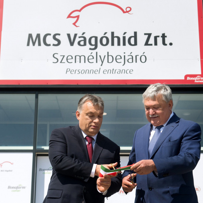 Hogy leszünk így a hatmillió sertés országa?