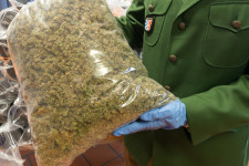 Németországban a rendőrök legalizálnák a marihuánát