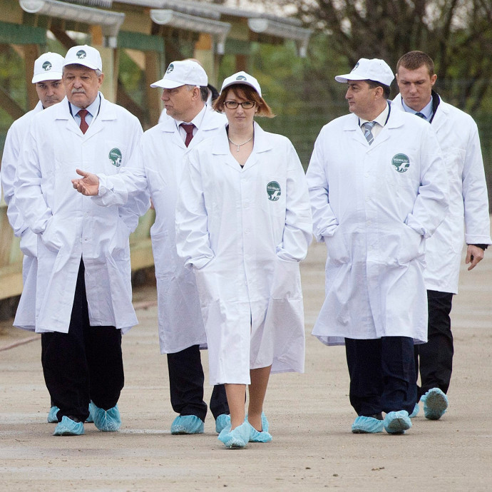 Csányi Sándor birodalma bevásárolta magát a Mészáros Lőrinc-birodalomba