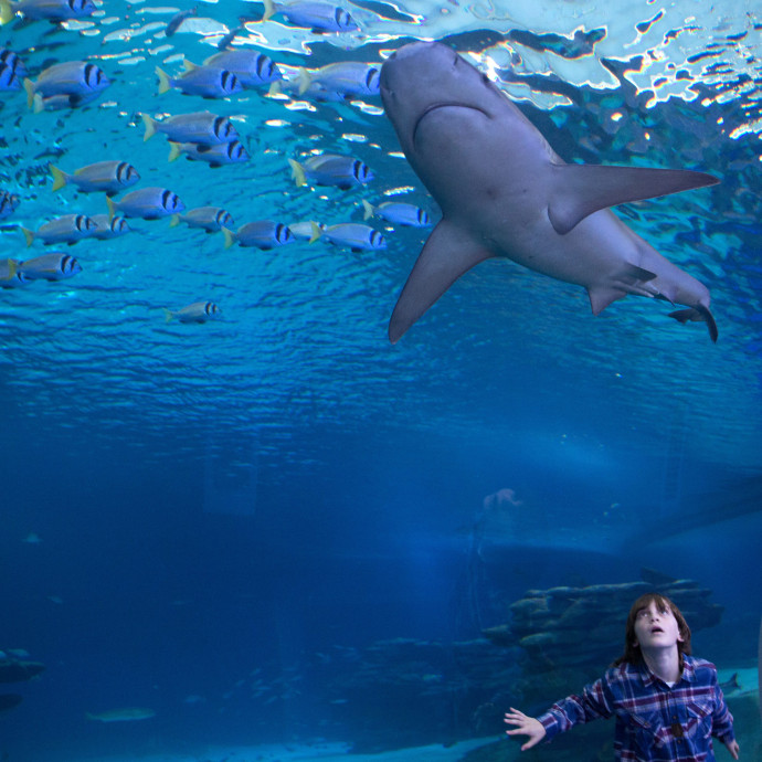 Egyetlen negyedév alatt 1200 milliárd dollárért habzsolták fel egymást a nagyvállalatok