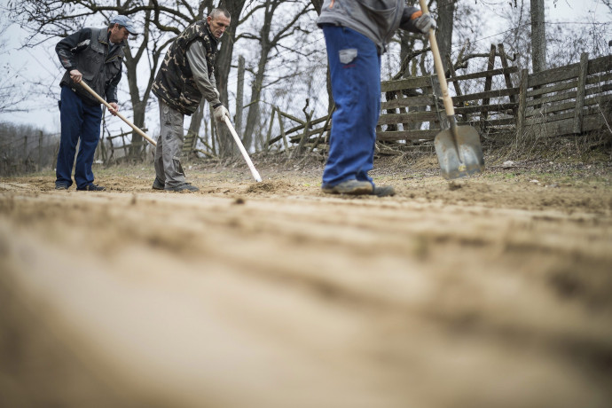 Egy jól finanszírozott munkanélküliségi rendszer nem teher, hanem az ország fejlődésének záloga