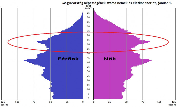 Forrás: KSH