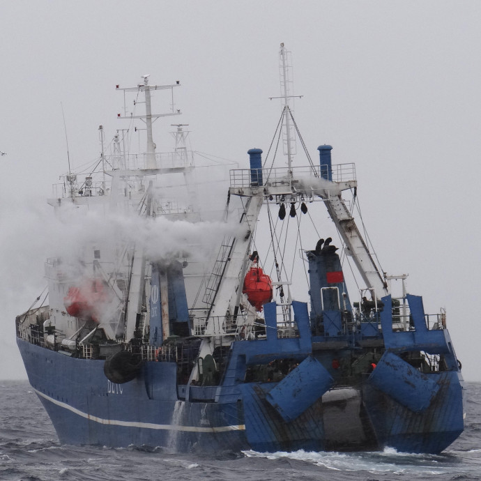 Lehet, hogy teljesen felesleges leölni ennyi halat