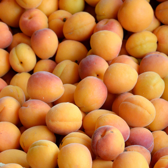 Nagyon drága a sárgabarack, már elkéstél, ha kivártál a lekvárfőzéssel