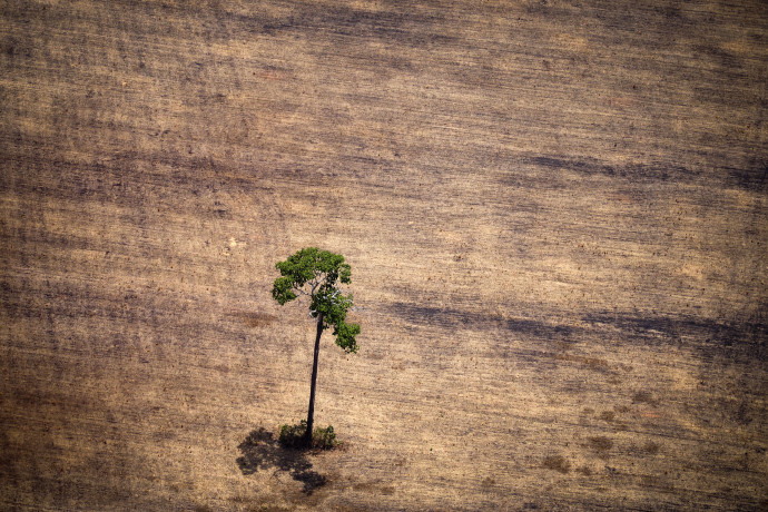 A természetet is kizsákmányolják az adóparadicsomokban működő cégek