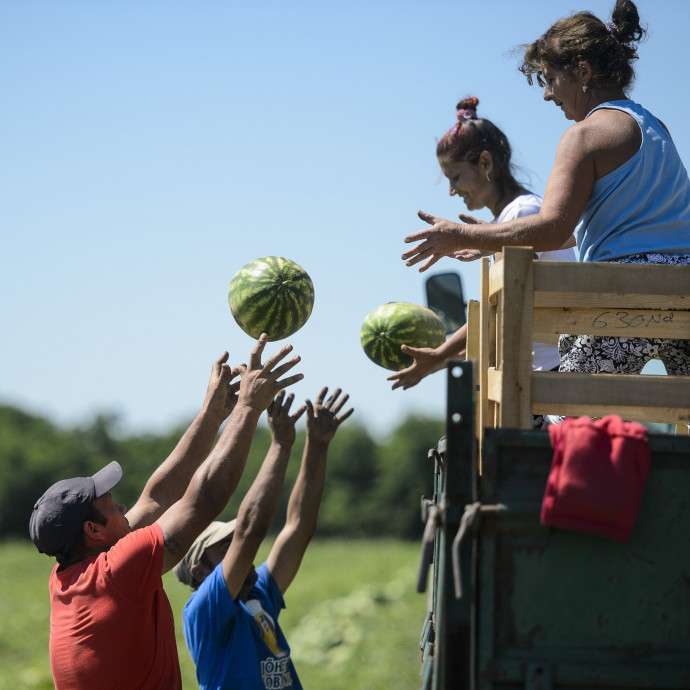 Gazdagabb gazdagok, szegényebb szegények: szétszakadóban a magyar társadalom