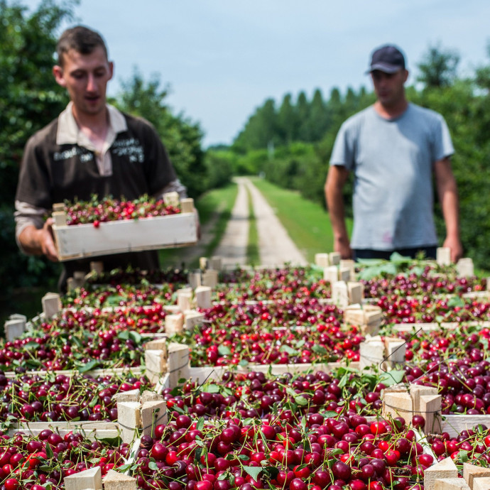 Három régióban még most is 10 százalék feletti az állástalanság