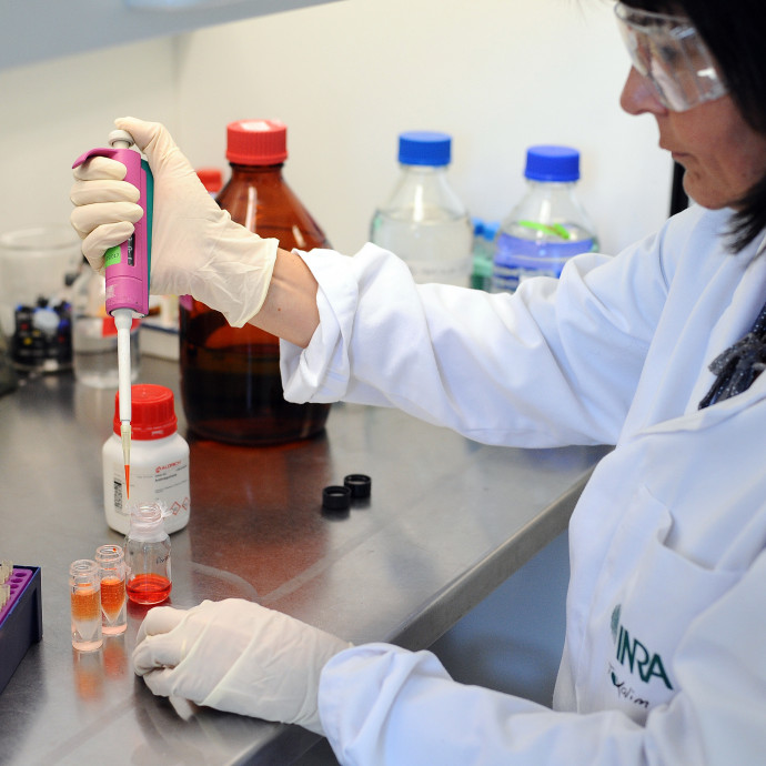 Megvizsgálják, hogy mennyire esszük meg a műanyagtányért és mennyire isszuk meg a sörösdobozt