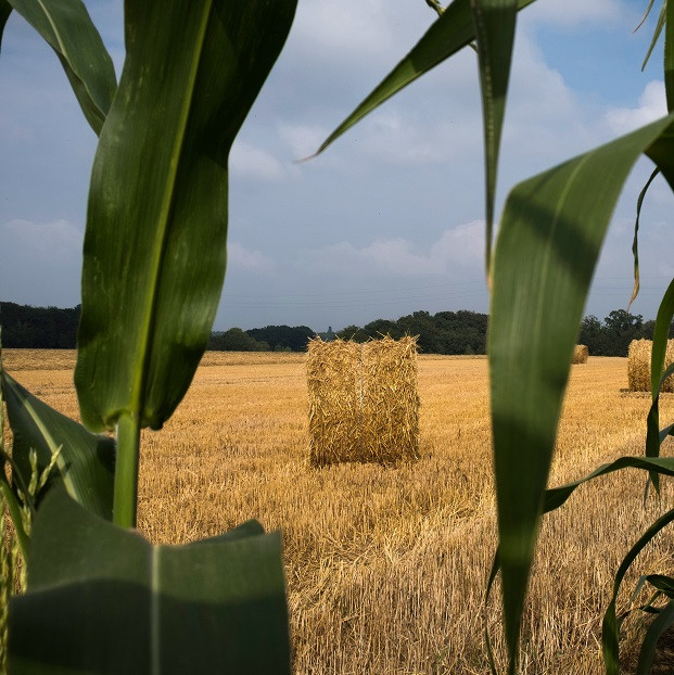 150 éves stratégiáját írta felül a túlélésért a legnagyobb amerikai magáncég