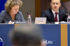 A Sargentini-jelentés gazdasági része megmutatja, miért reménytelen az európai politika