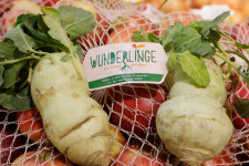 Neked kényelmes, de a boltnak csak veszteséget okoz az élelmiszer-házhozszállítás