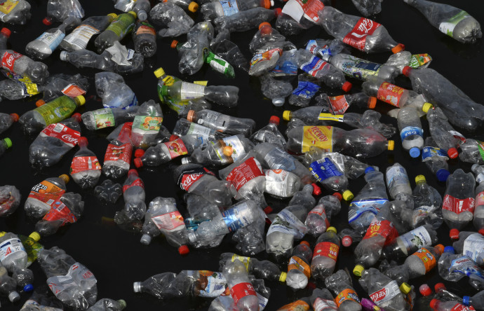 A Coca-Cola és a Nestlé felel a legtöbb műanyagszemétért a világon