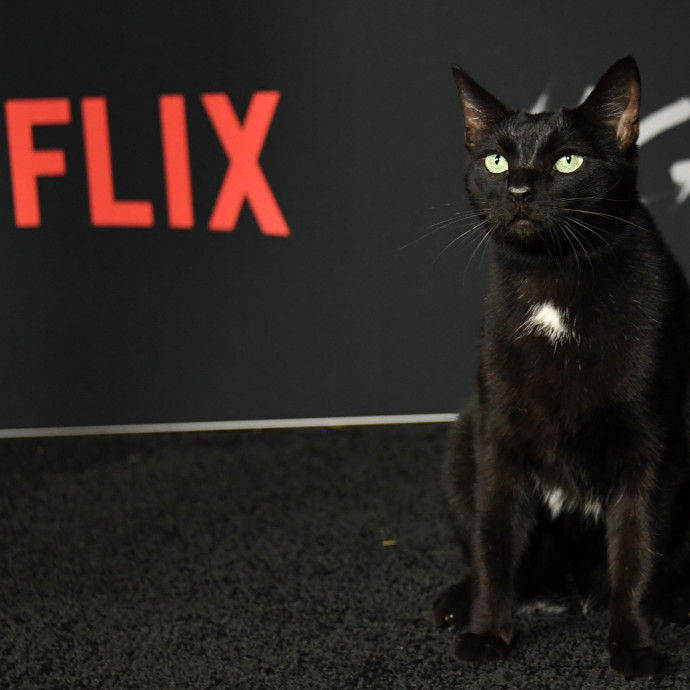 Egy vagyont kér kölcsön a Netflix, hogy legyen mit nézned