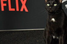 Egy vagyont kér kölcsön a Netflix, hogy legyen mit nézned