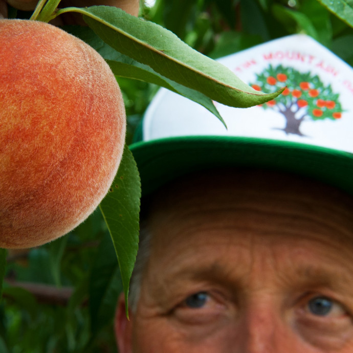 A barack, a kávé és a mandula is drágulhat a klímaváltozás miatt