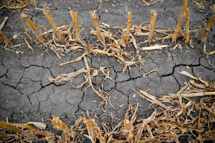 A magyarok háromnegyede aggódik a klímaváltozás miatt