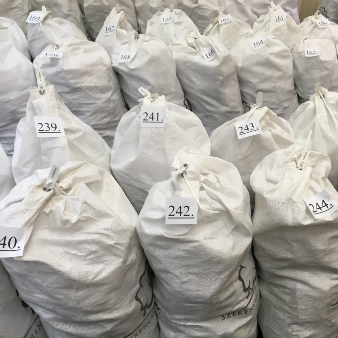 Ezekben a zsákokban 136 ezer csalódott magyar ember reménye van