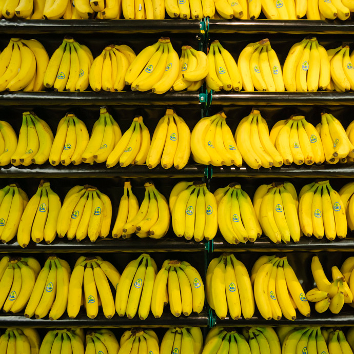 Egyetlen gyümölcs sem jut el olyan nyakatekert módon a boltba, mint a banán