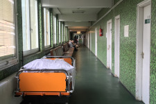 Minden harmadik magyar halála elkerülhető lenne