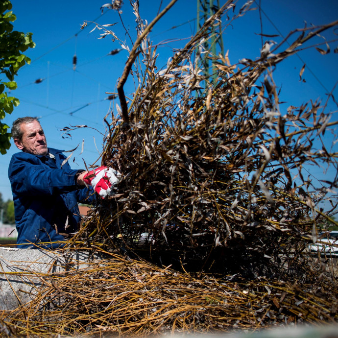 Már a közmunkaprogramot is veszélyezteti a munkaerőhiány