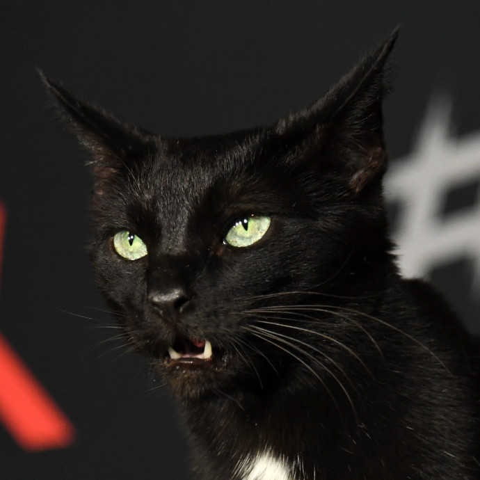 Megegyezett a Netflix a 14 milliárdot követelő sátánista egyházzal