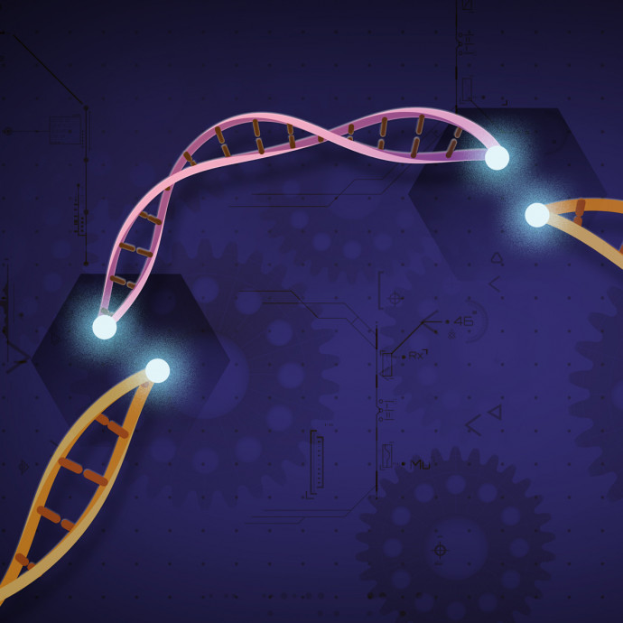 Ha igaz, hogy megszületett egy génmódosított ikerpár, akkor ez egy emberkísérlet