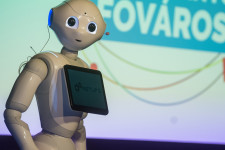 Magyarország 50 országból a 49., ha a startupokat támogató környezetről van szó