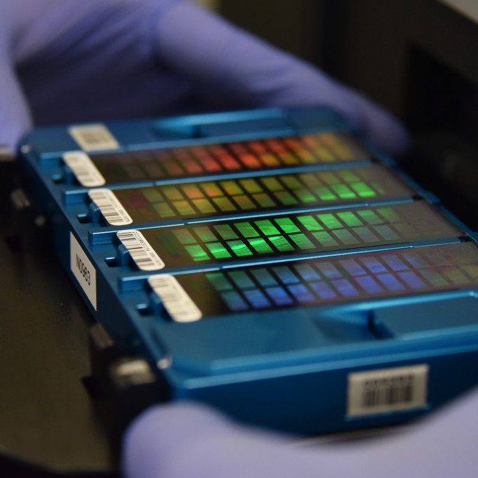 Ezért fog elszabadulni a pokol, ha sokan elvégzik az olcsó otthoni DNS-tesztet