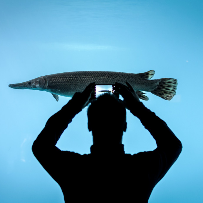 Az Apple túlfeszítette a húrt az ezerdolláros Iphone-nal