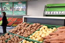 A félelmetes krumplidrágulás csak tünete a magyar krumplitermelés vergődésének