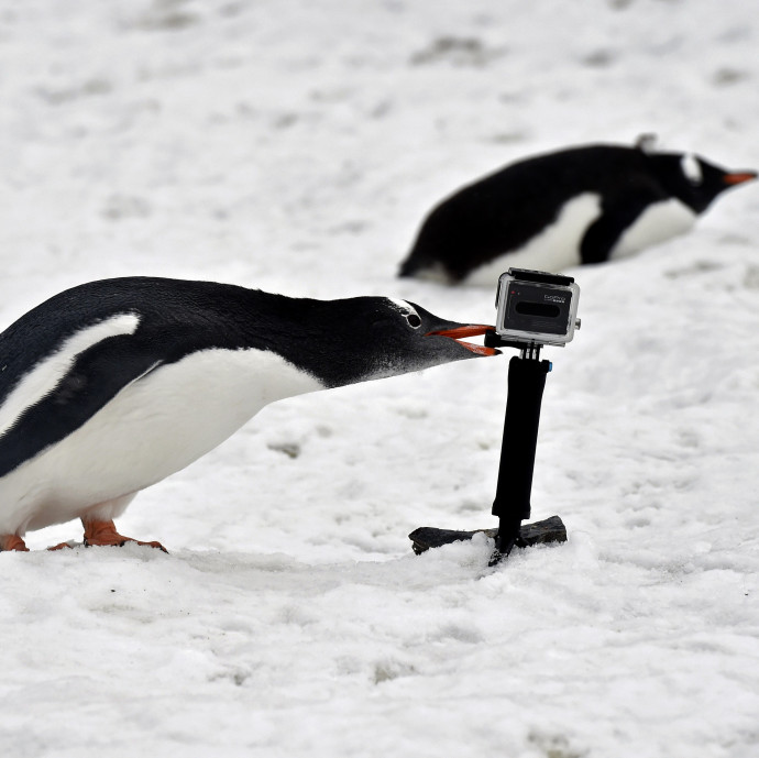 Filléres alkatrész hiánya miatt szorulnak a legnépszerűbb kütyük gyártói