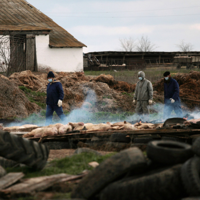 Új korszak jöhet a hentesnél: a sertéshús drágább lehet, mint a marha