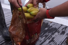 Kísérlet bizonyítja, hogy nem bomlanak le a lebomlónak nevezett műanyagzacskók
