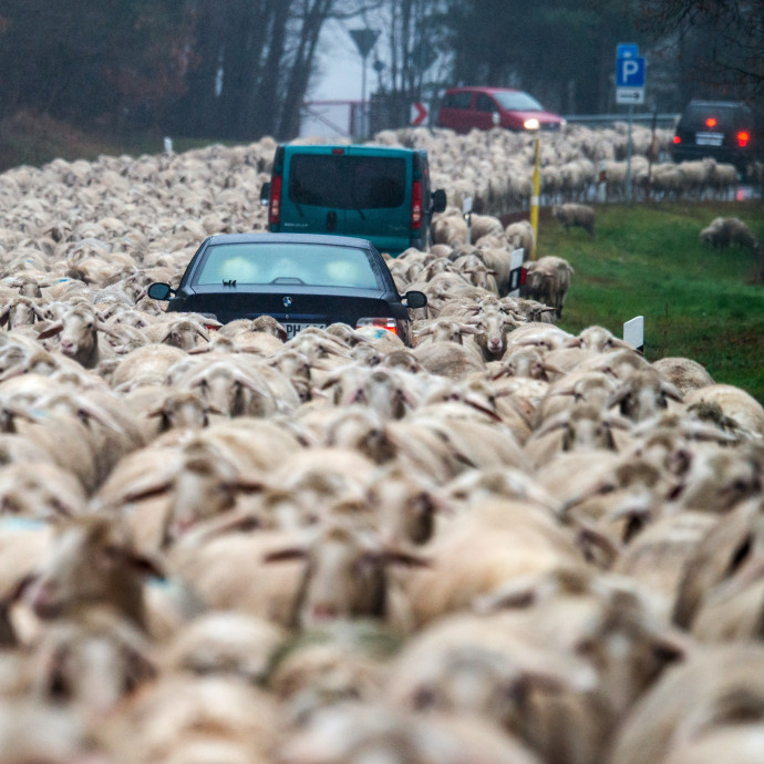 Hiába vágysz rá, nem leszel tőle boldog