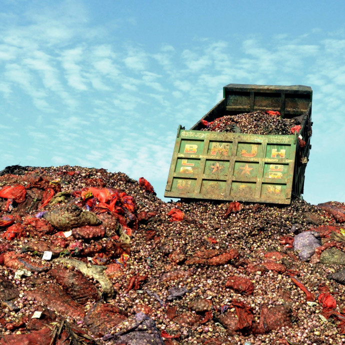 Az ember, aki felvásárolta az összes hagymát, és ezzel vagyonokat keresett