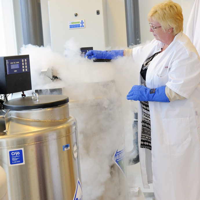 25-ből 24 nőnek nem lett gyereke azok közül, akik lefagyasztották a petesejtjeiket