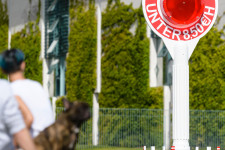 Hiába emelik a magyar minimálbért, a boltban elkölthető értéke alig nő