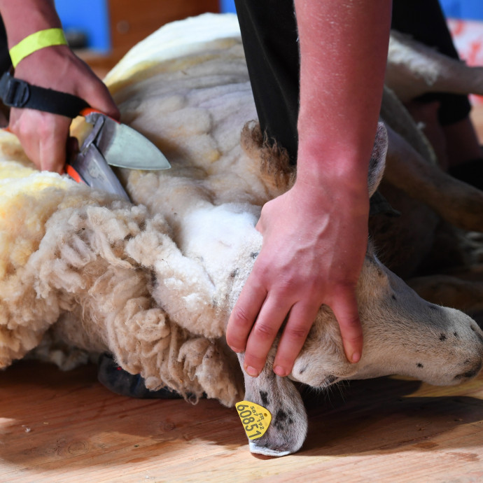 Hiába dolgozunk sokat, az átlagbérben nehéz lesz felzárkózni