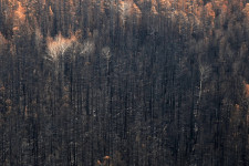 Csak az eső olthatja el teljesen a szibériai tűzvészt