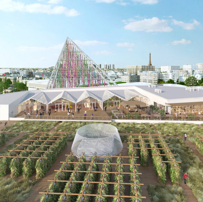 Párizs háztetőin elkezdtek növényeket termeszteni