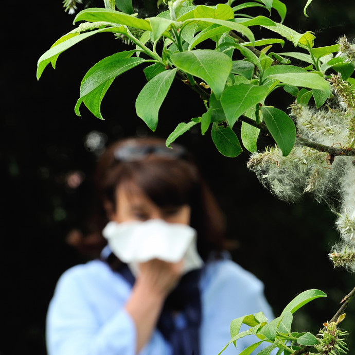 A felmelegedés nemcsak meghosszabbítja, de fokozza is a pollenallergiások szenvedését