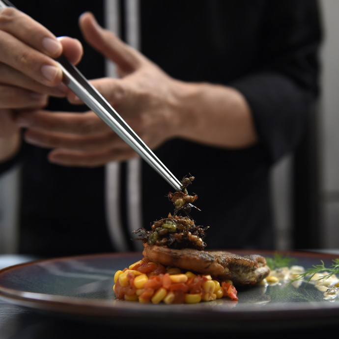 Ha elég jó marketinget csinálnak a rovaroknak, akkor nagy étvággyal fogjuk enni őket