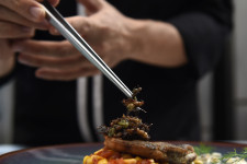 Ha elég jó marketinget csinálnak a rovaroknak, akkor nagy étvággyal fogjuk enni őket