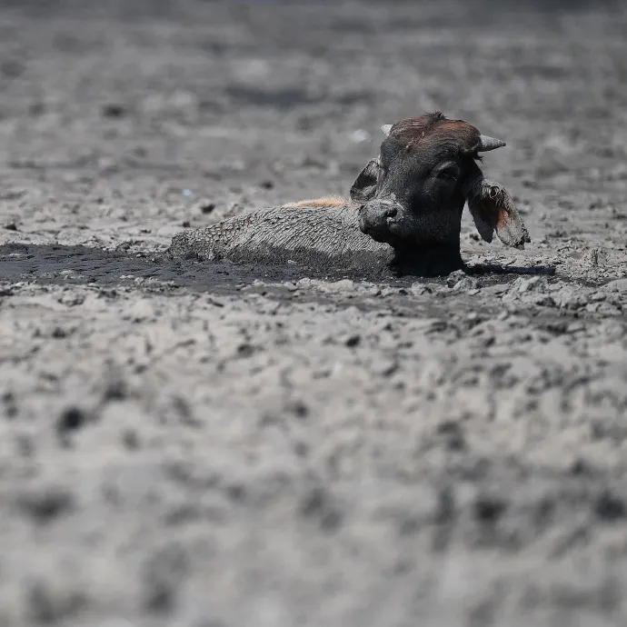 „A klímaváltozás első áldozata az igazság”