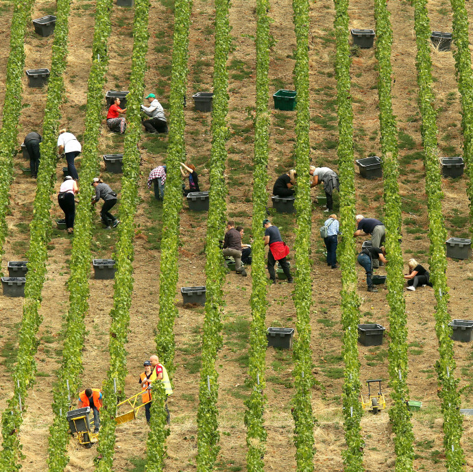 Félig mezőgazdasági, félig összeszerelő ország vagyunk pénzügyi fővárossal