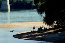Kutatás bizonyítja, hogy érdemes lelki támaszként kezelni a háziállatunkat