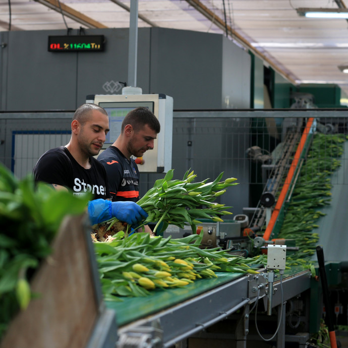 Jól jár a bolygó is, ha a vállalatok jobban utánanéznek a beszerzéseiknek